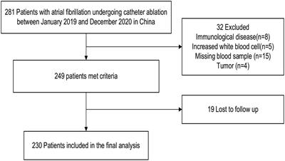 Elevated tissue inhibitor of metalloproteinase-1 along with left atrium hypertrophy predict atrial fibrillation recurrence after catheter ablation